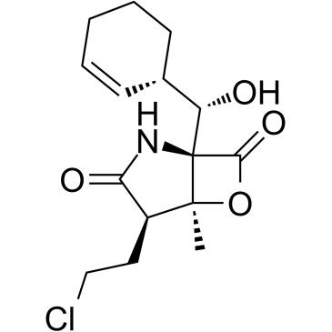 Marizomib