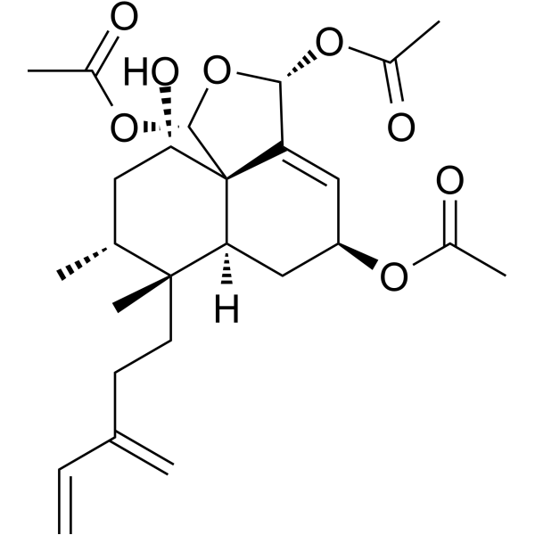 Kurzipene D