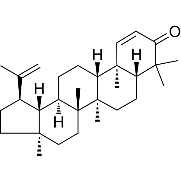 算盘子酮