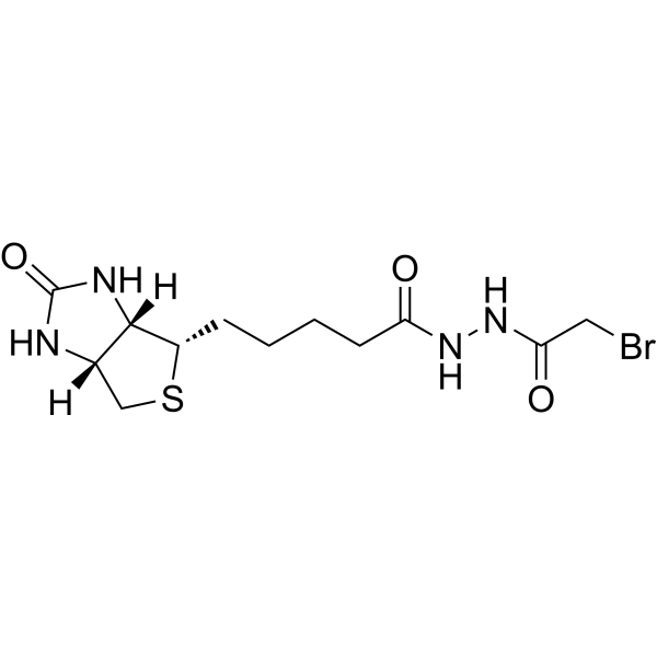 Biotin N-(bromoacetyl)hydrazide