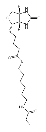 N-生物素-N'-(碘乙酰基)-1,6-己二胺