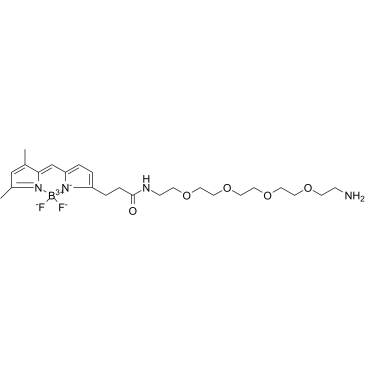 BDP FL-PEG4-amine