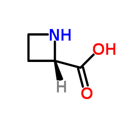 (|S|)-(-)-2-羧基环丁胺