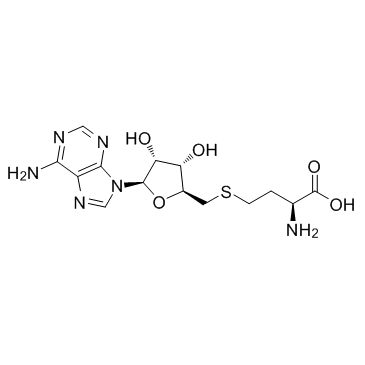 S-腺苷-L-高半胱氨酸