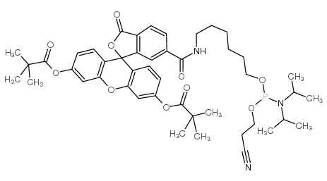 5'-荧光素氨基磷酸酯