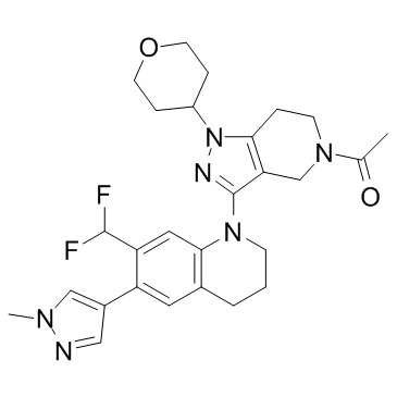 GNE-049