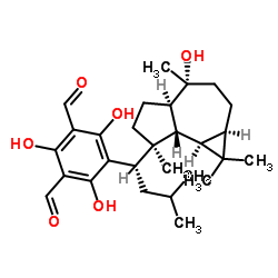 大果桉醛B