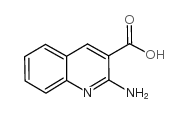 2-氨基喹啉-3-羧酸