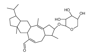 Aleurodiscal