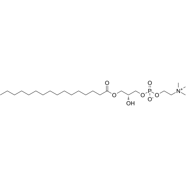 1-棕榈酰基-sn-甘油-3-磷酸胆碱