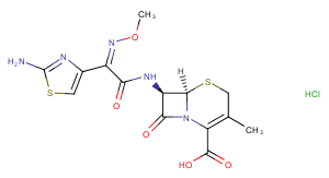 Cefetamet Hydrochloride