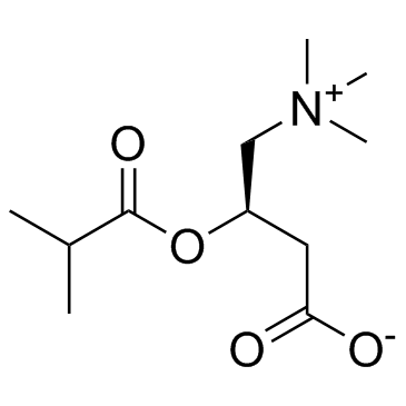 异丁酰-L-肉碱