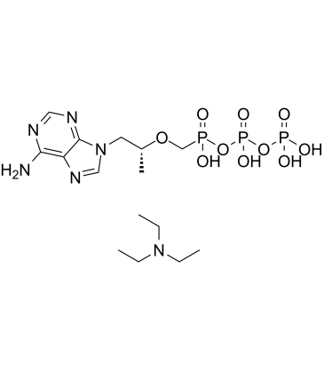 TFV-DP triethylamine