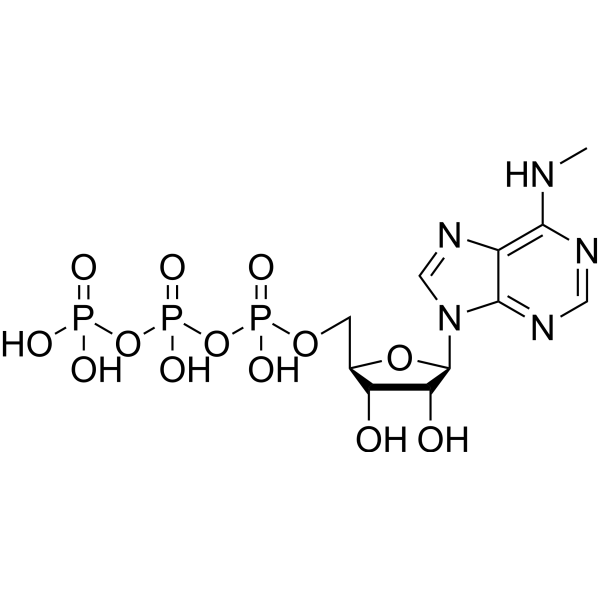 6-Me-ATP