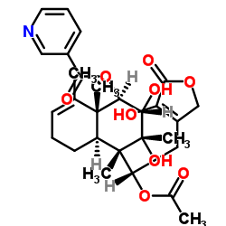 Scutebata C