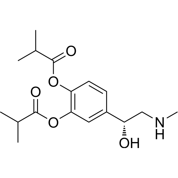 Dibutepinephrine