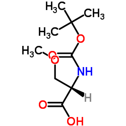 (R)-2-叔丁氧羰基氨基-3-甲氧基丙酸