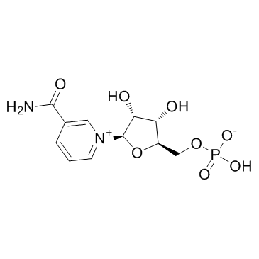 β-烟酰胺单核苷酸