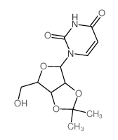 2',3'-异丙基脲