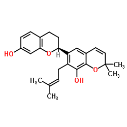 小构树醇 B