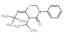 噻嗪酮