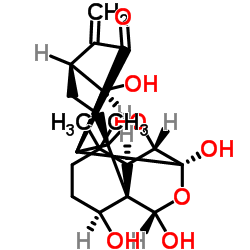 Hebeirubescensin H