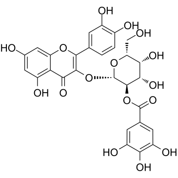 2''-O-没食子酰基金丝桃苷