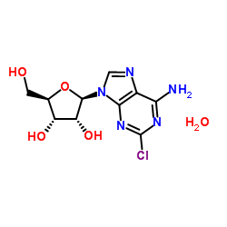 2-氯腺苷半水合物