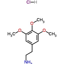 3,4,5-三甲氧苯乙胺盐酸盐