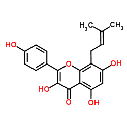 8-异戊烯基山奈酚