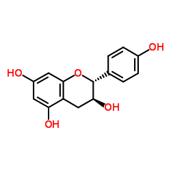 阿夫儿茶精