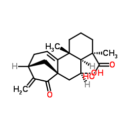 Pterisolic acid B