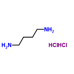 1,4-丁二胺二盐酸盐-D8