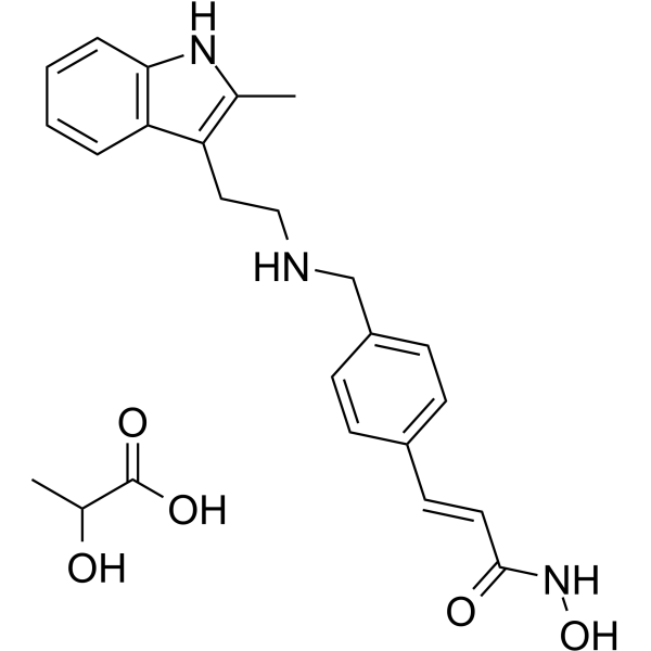 LBH589 lactate