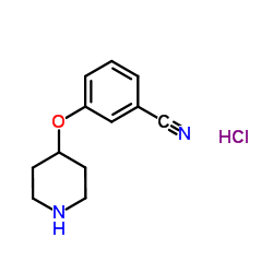 4-(4-吗啉基羰基)苯基三氟硼酸钾