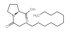 N-十四碳酰基-L-脯氨酸