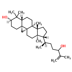 25-环木菠萝烯-3,24-二醇