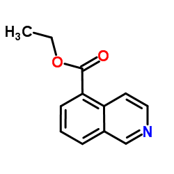 5-异喹啉甲酸乙酯