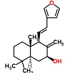 二羟丙茶碱A