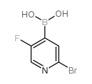 2-溴-5-氟吡啶-4-硼酸