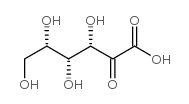2-酮基-L-古龙酸