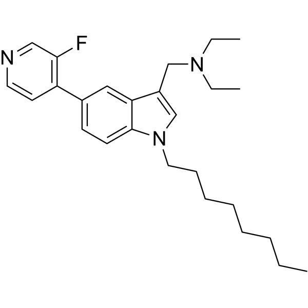 ICMT-IN-53