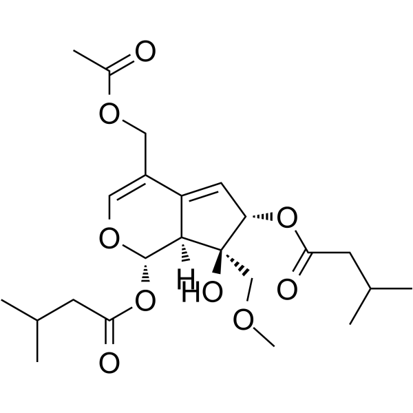 Valeriandoid F