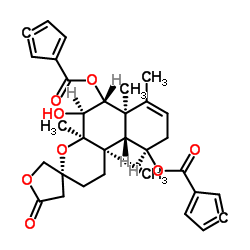 6-O-烟酰半枝莲碱 G