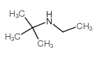 N-叔丁基乙胺