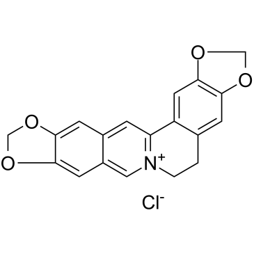 盐酸异黄连碱