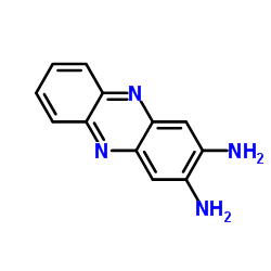 2,3-二氨基酚嗪