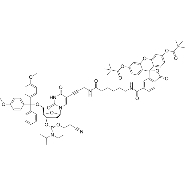 FAM-dT phosphoramidite