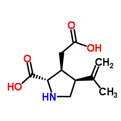 (−)-(α)-Kainic Acid (hydrate)