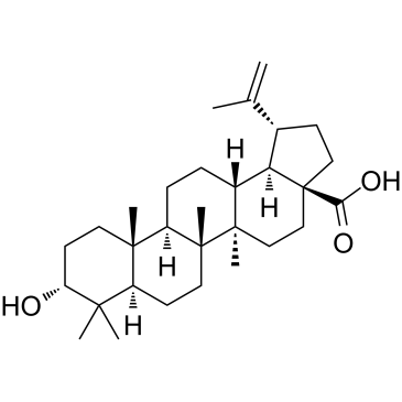 表白桦脂酸